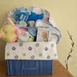 tn_bluecabinet2010