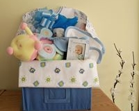 tn_bluecabinet2010