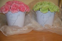 Baby-carnation-gift-baskets