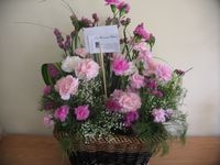 tn_Floralcarnations