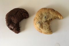 cranberry and chocolate chip cookies