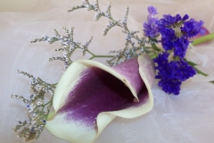 Odessa-statice-bouttonière