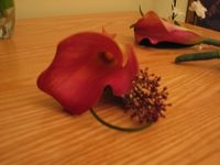 tn_callycorsage