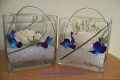 dendorbium-square-vases