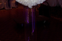 white pompom