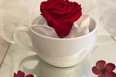eternal-rose-cup-of-tea