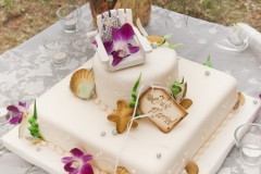 NK-337-e1470935998849