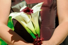 SM-50-of-1579-e1470935911977