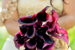 SM-850-of-1579-e1470935889637