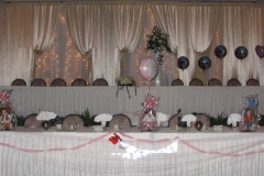 backdrop-e1470936202597