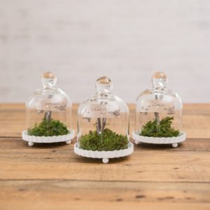 Glass bell jar favors
